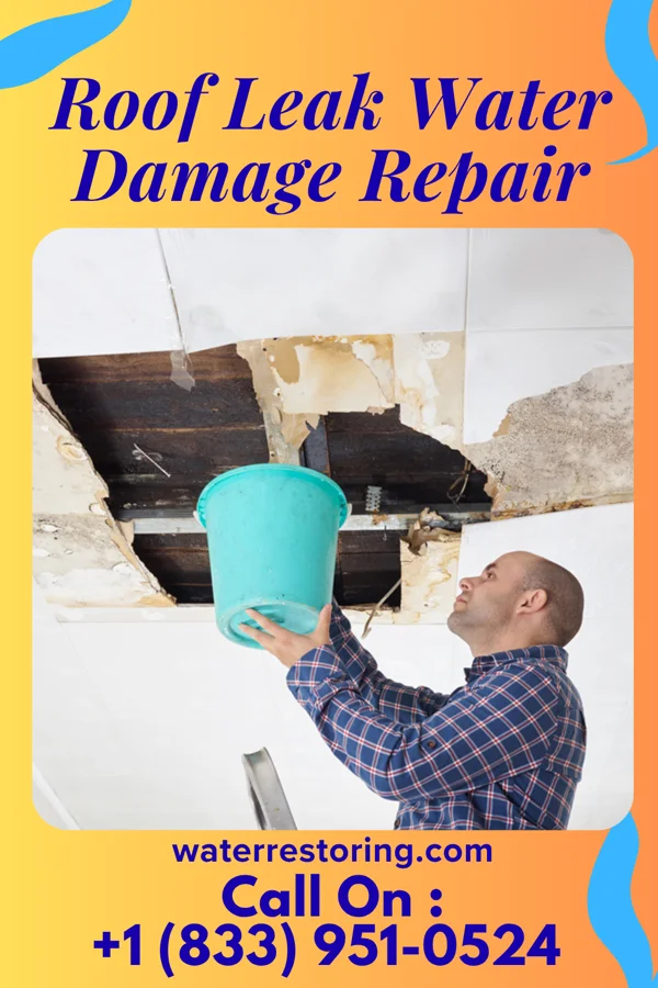 Roof Leak Water Damage Repair in Dubberly, LA